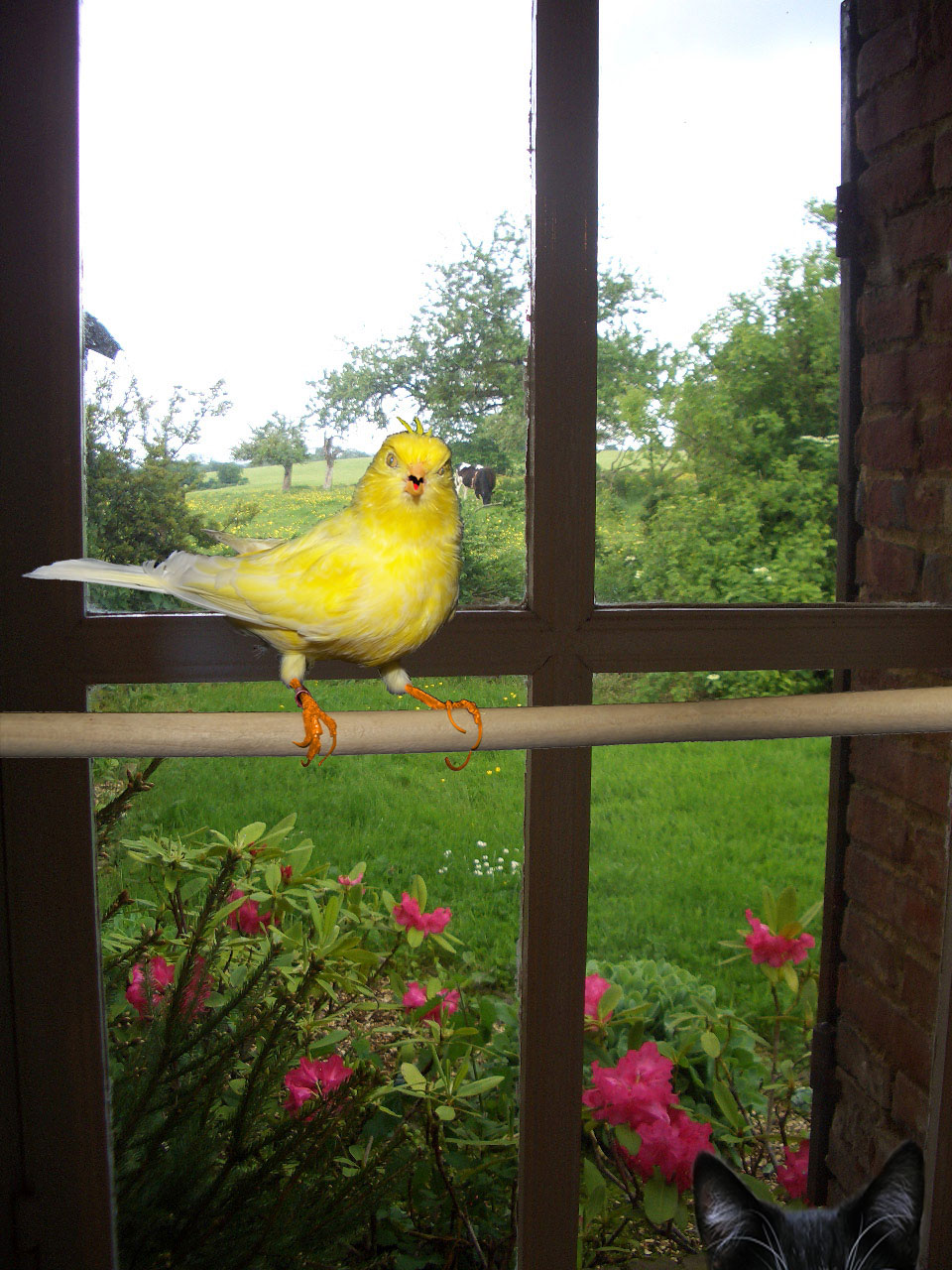 Photoshop Design by diveclass101 for DesignCrowd (Community Contests) | Design #8979492