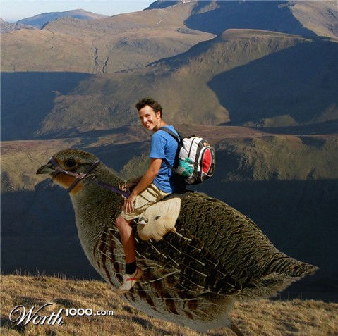 Photoshop Design by bobber1