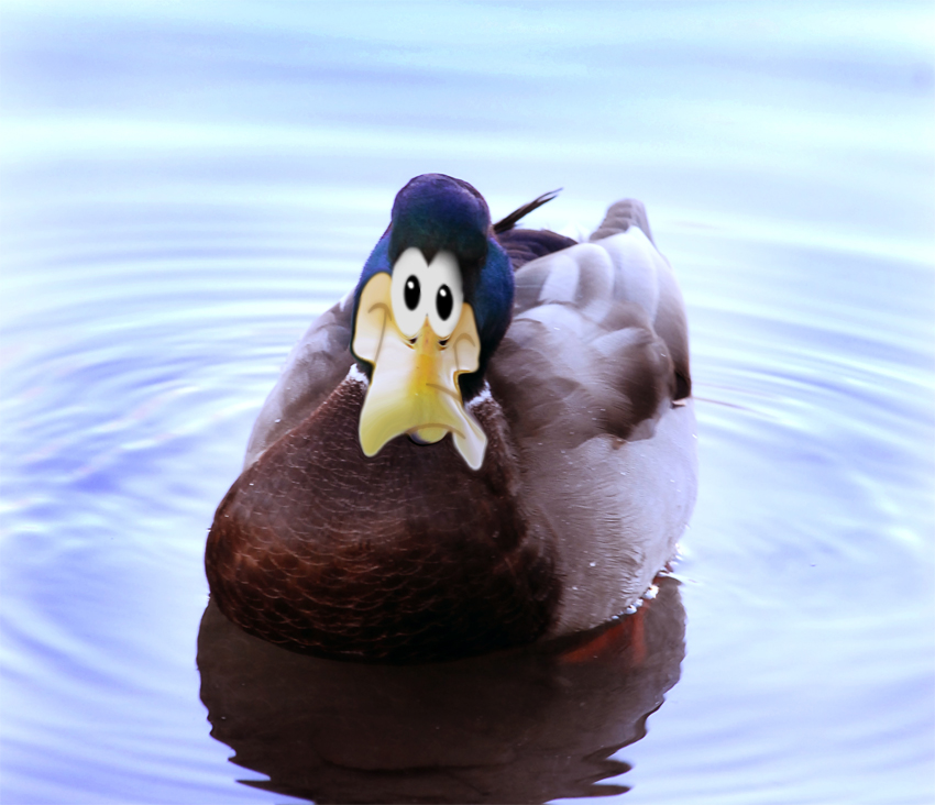 Diseño de Photoshop por lucimine para DesignCrowd (Community Contests) | Diseño #8979537