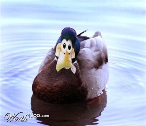 Photoshop Design by lucimine