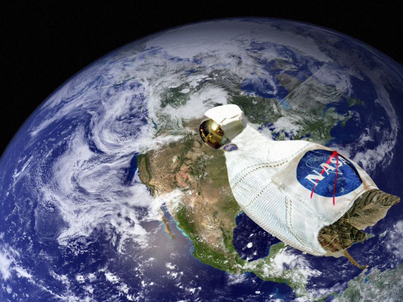 Diseño de Photoshop por brighty para DesignCrowd (Community Contests) | Diseño #8978823