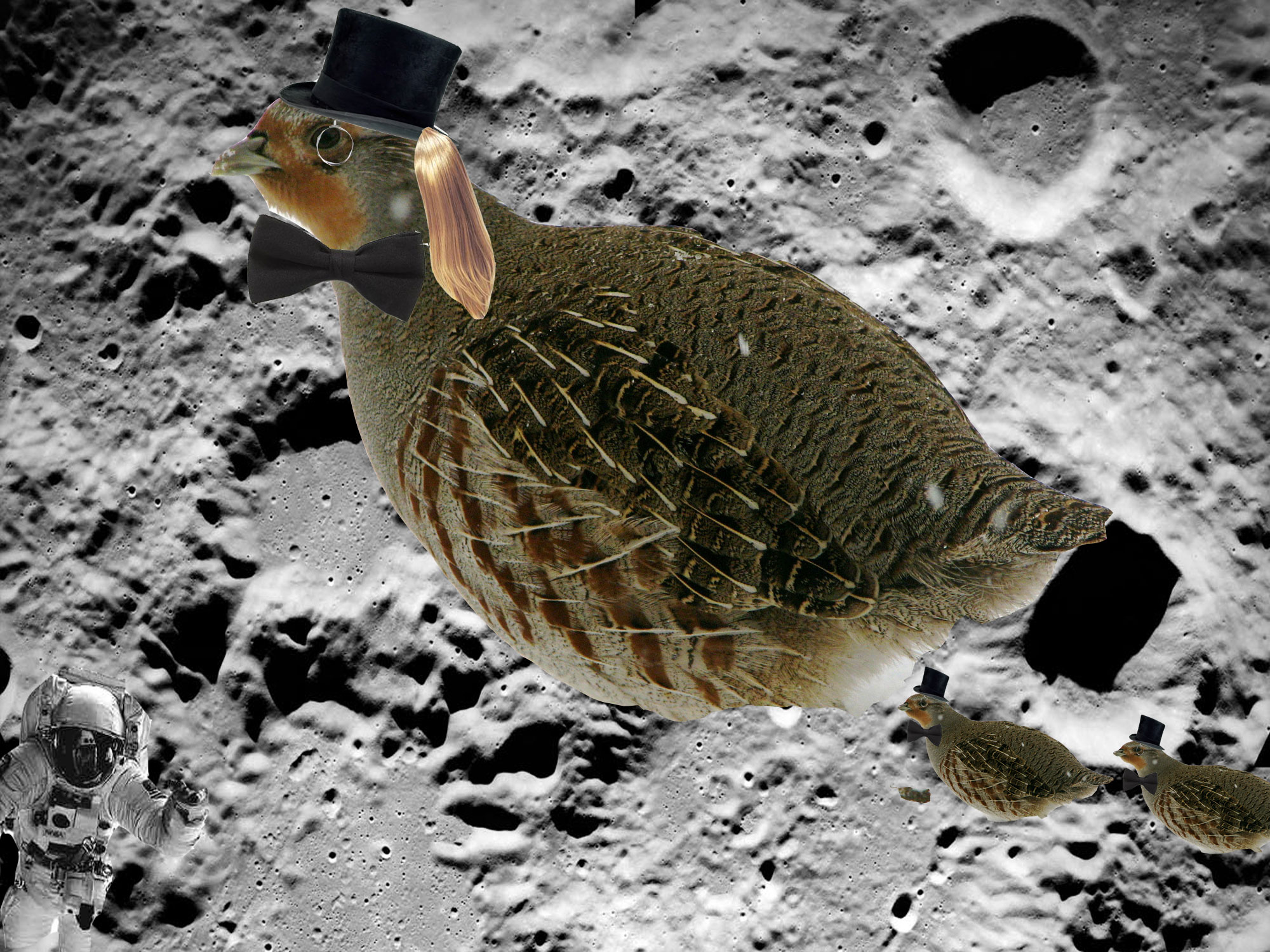 Photoshop Design by DrRobot for DesignCrowd (Community Contests) | Design #8978837