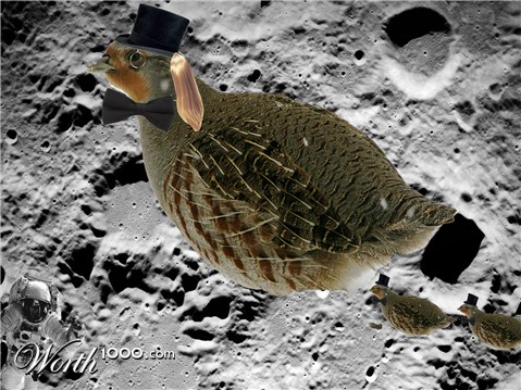 Photoshop Design by DrRobot