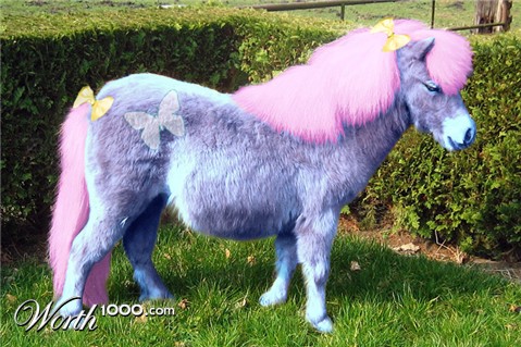 Photoshop Design by argosaries