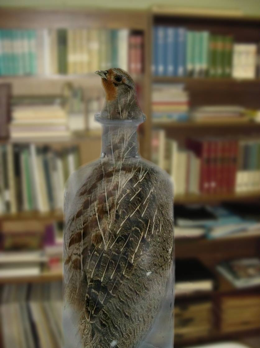 Photoshop Design by timothyansell for DesignCrowd (Community Contests) | Design #8978877