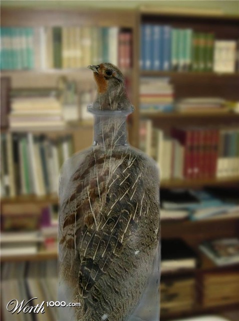 Photoshop Design by timothyansell