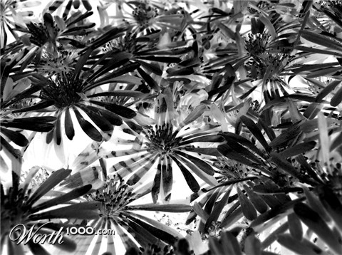 Photography by wakevortex