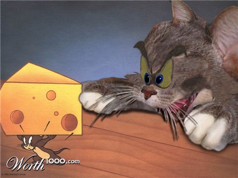 Photoshop Design by amalmansy