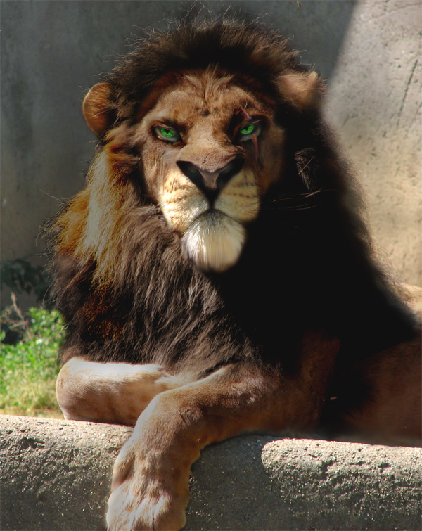 Design Photoshop par ellall pour DesignCrowd (Community Contests) | Design #8979561