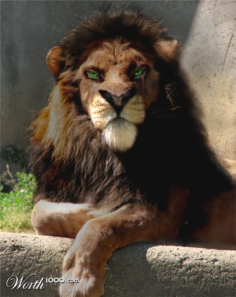 Photoshop Design by ellall