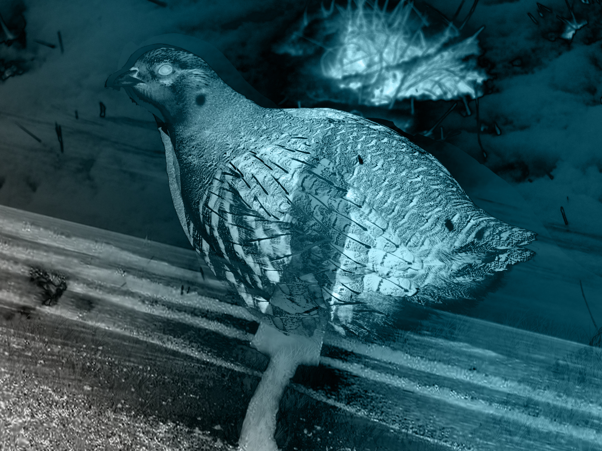 Diseño de Photoshop por tifagamilk00 para DesignCrowd (Community Contests) | Diseño #8978905