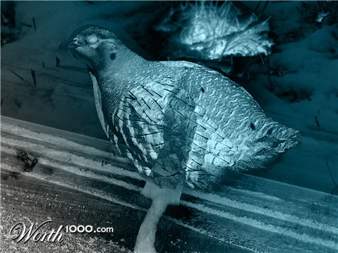 Photoshop Design by tifagamilk00