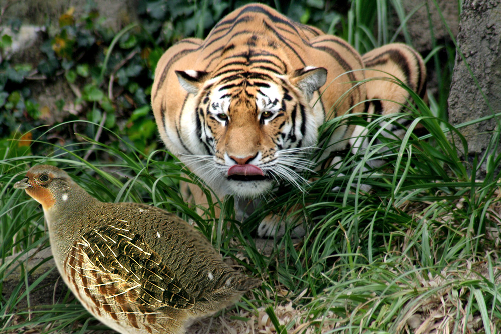 Design Photoshop par Leasider pour DesignCrowd (Community Contests) | Design #8978849