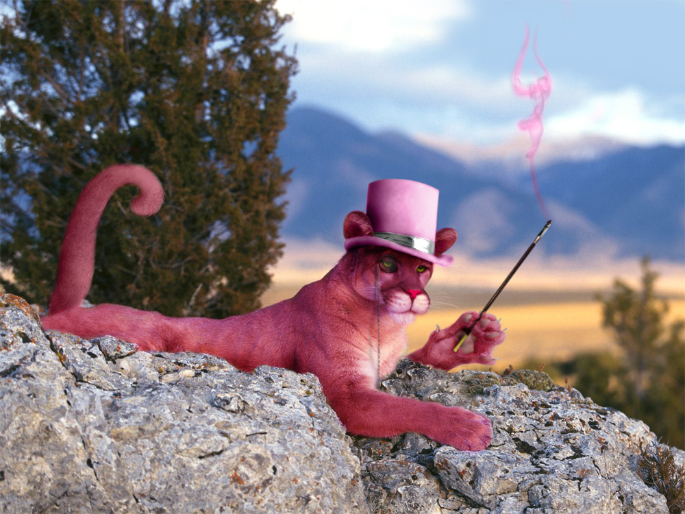 Photoshop Design by PixelTreason for DesignCrowd (Community Contests) | Design #8979617