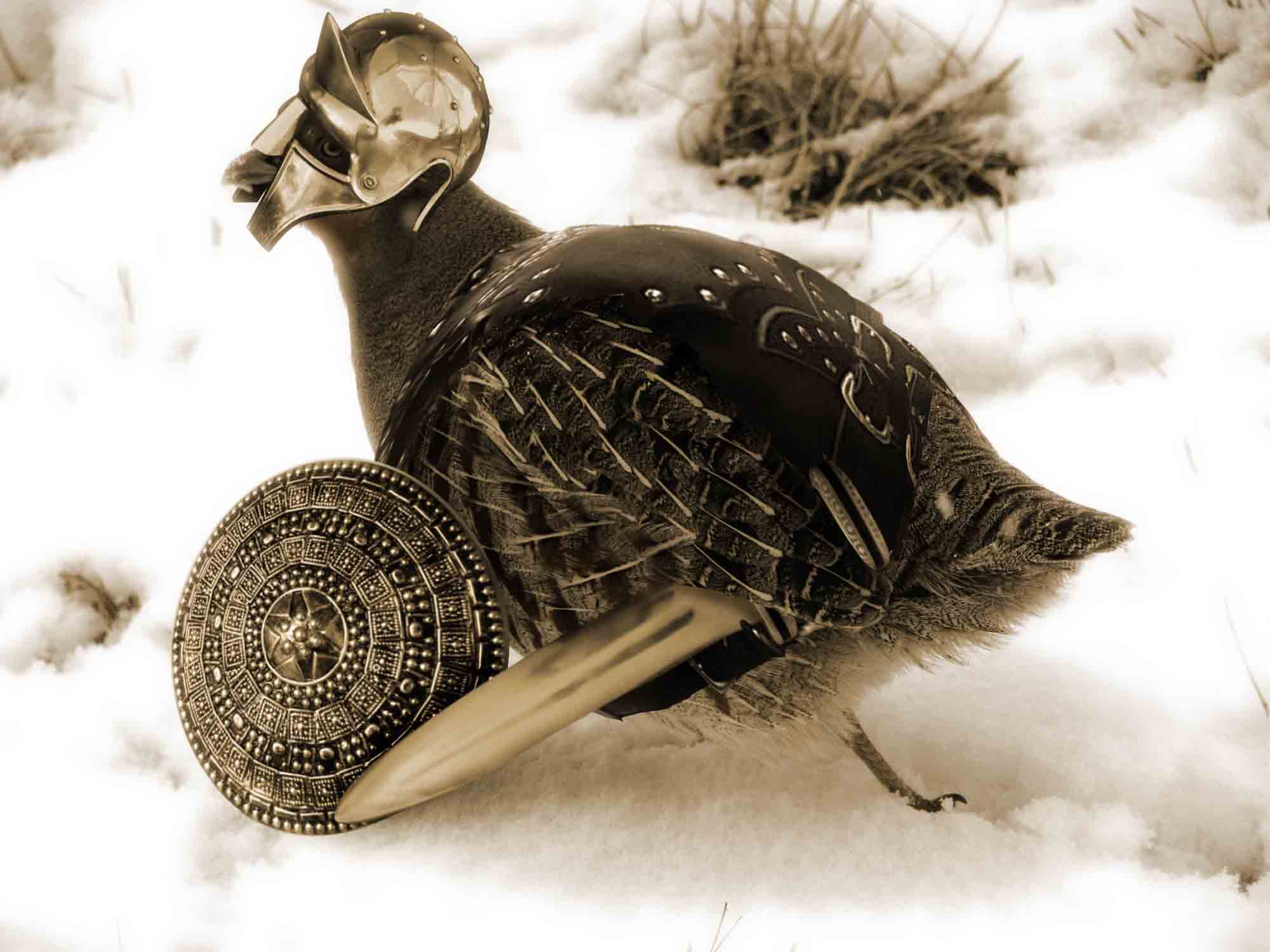 Photoshop Design by killerinstink for DesignCrowd (Community Contests) | Design #8979100