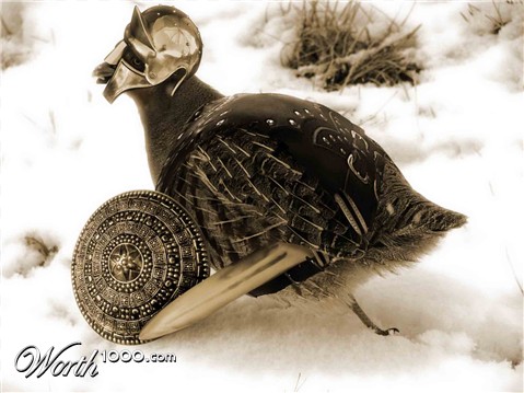 Photoshop Design by killerinstink