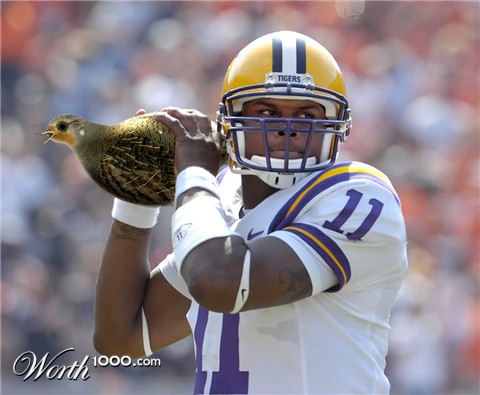 Photoshop Design by PJcub99