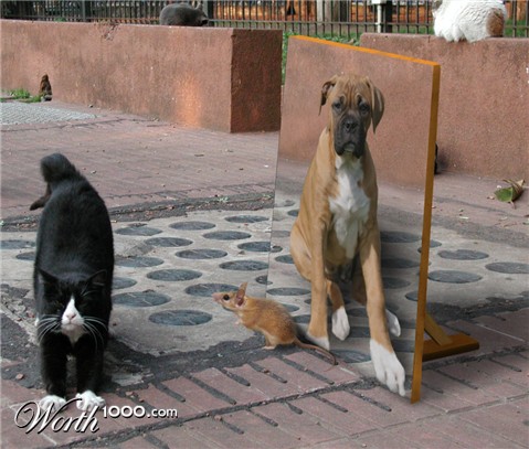 Photoshop Design by doehlman