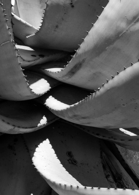 Fotografie von splong für DesignCrowd (Community Contests) | Design #8981937