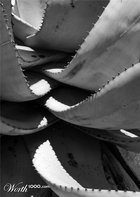 Photography by splong