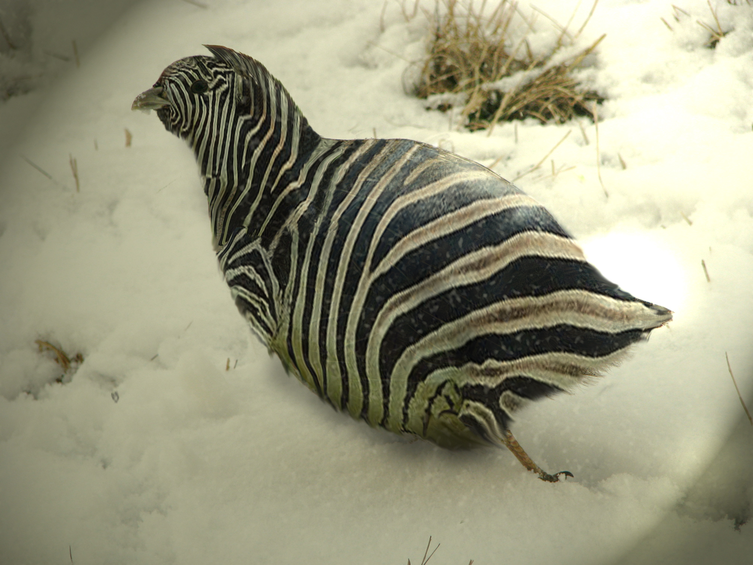 Photoshop-Design von eleena07 für DesignCrowd (Community Contests) | Design #8979066