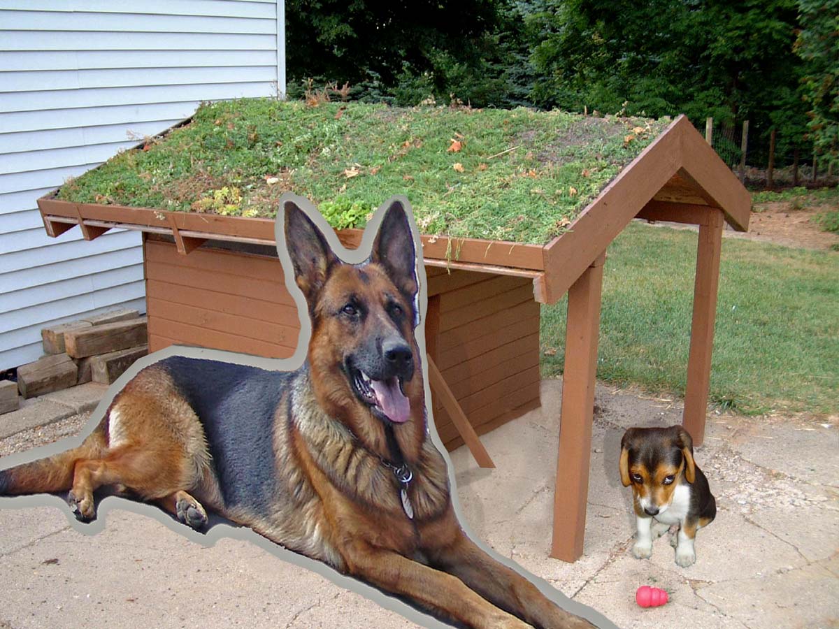 Photoshop Design by underworth for DesignCrowd (Community Contests) | Design #8978617