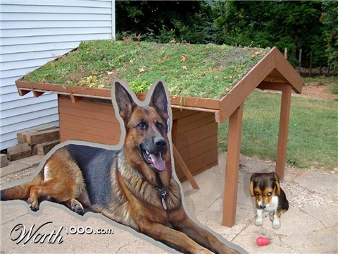 Photoshop Design by underworth