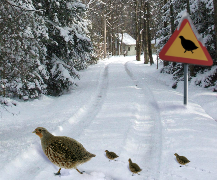 Diseño de Photoshop por lucimine para DesignCrowd (Community Contests) | Diseño #8979059