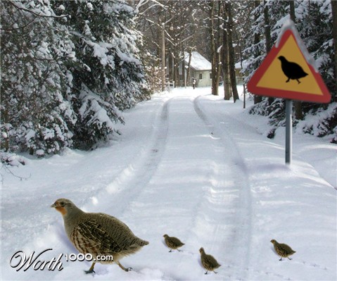 Photoshop Design by lucimine