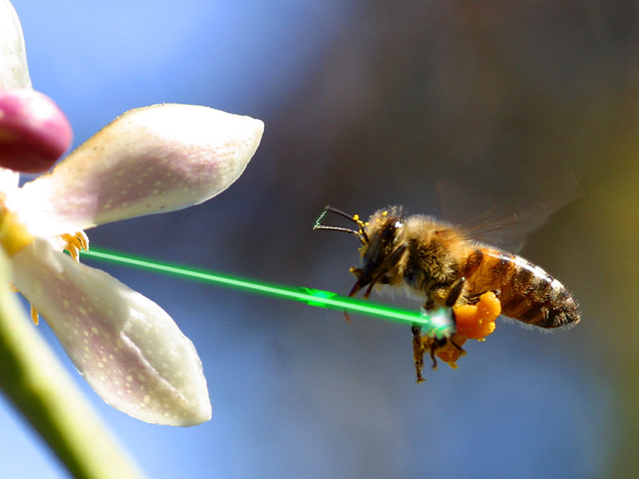 Photoshop Design by WildChildBaby for DesignCrowd (Community Contests) | Design #8983013