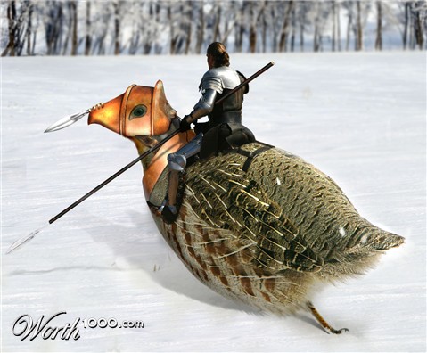Photoshop Design by cksalmon
