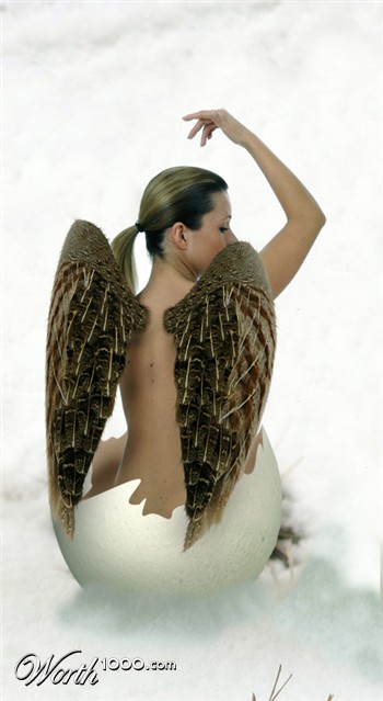 Photoshop Design by Lancemaker