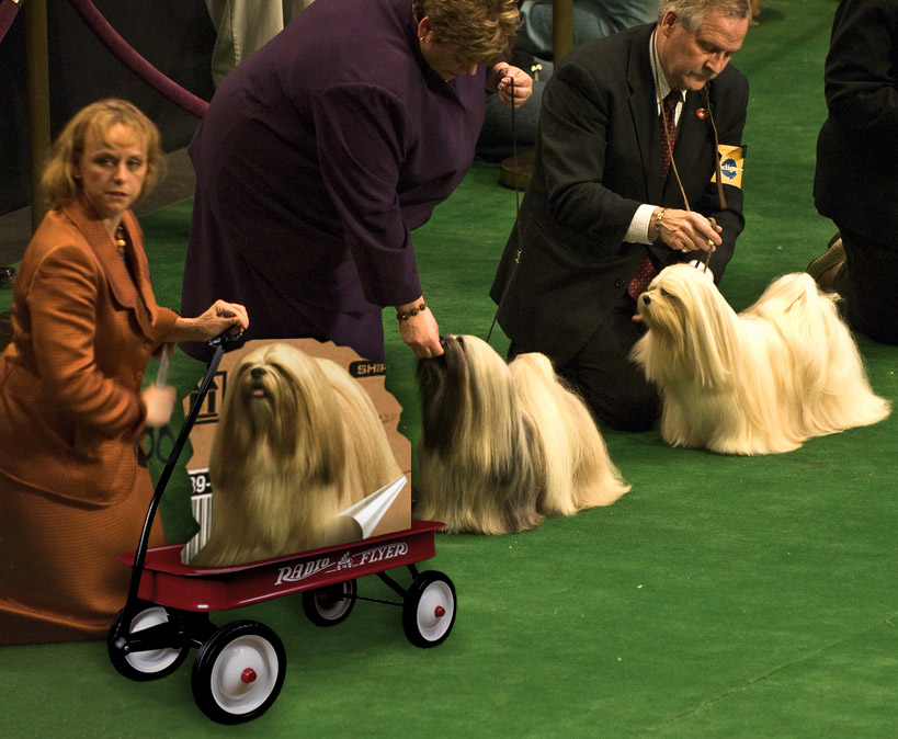 Diseño de Photoshop por MissGator para DesignCrowd (Community Contests) | Diseño #8978703