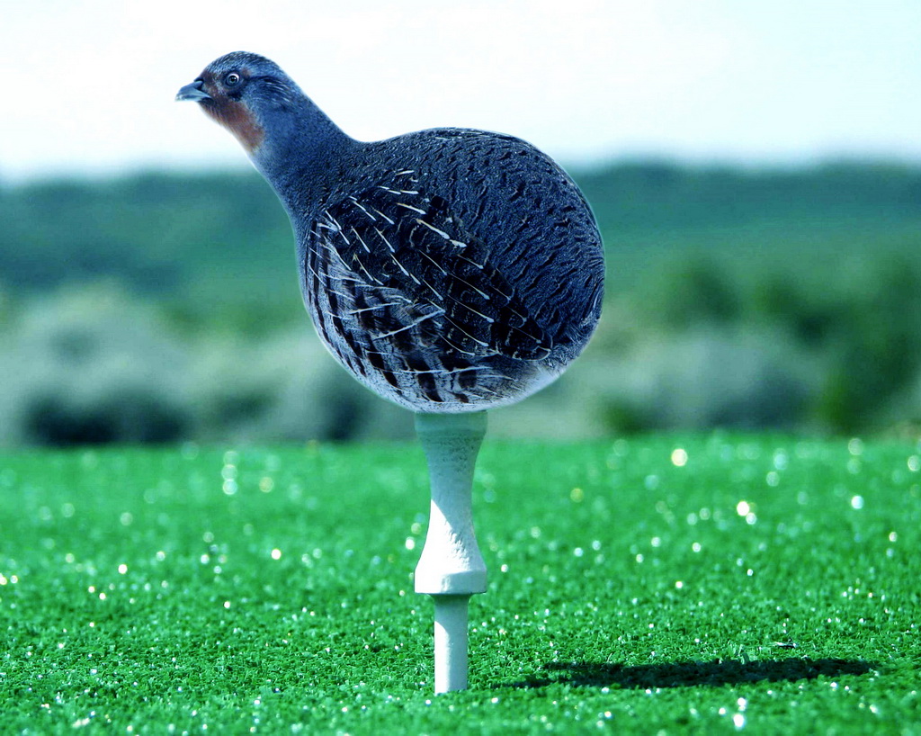 Diseño de Photoshop por CrackerWeed para DesignCrowd (Community Contests) | Diseño #8978938