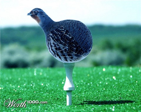 Photoshop Design by CrackerWeed