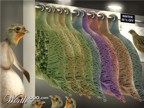 Photoshop Design by ilCuco