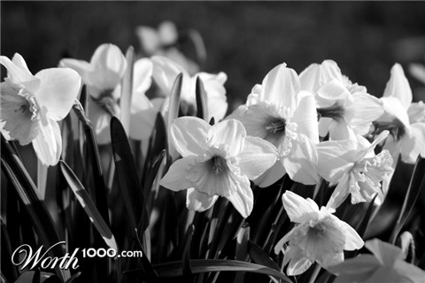 Photography by FamousAsset