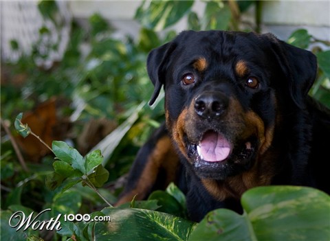 Photography by DozerLYP