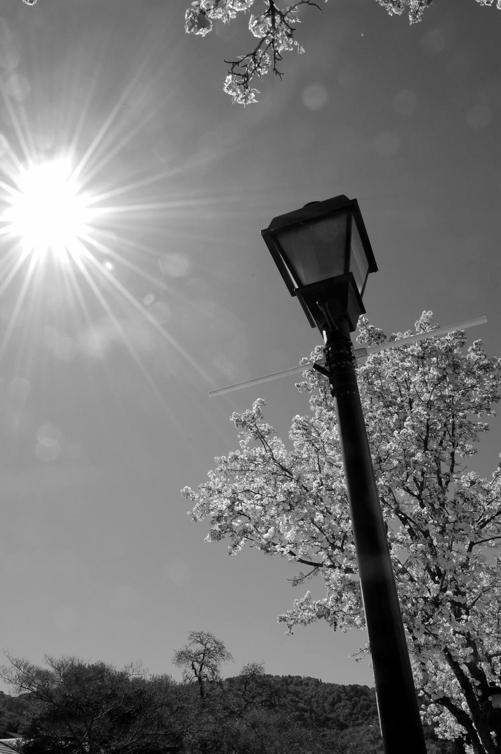 Photography by AgentSeta for DesignCrowd (Community Contests) | Design #8978271