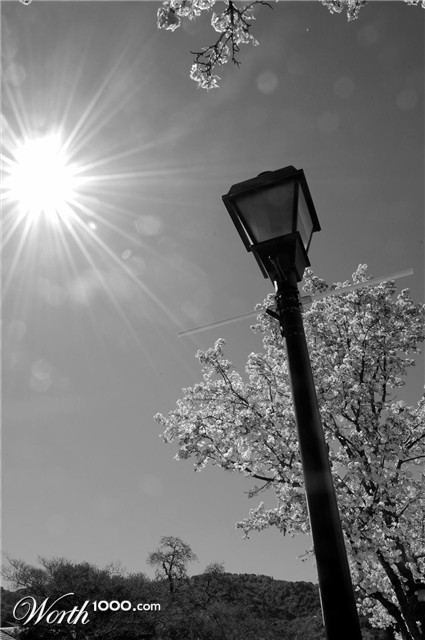 Photography by AgentSeta