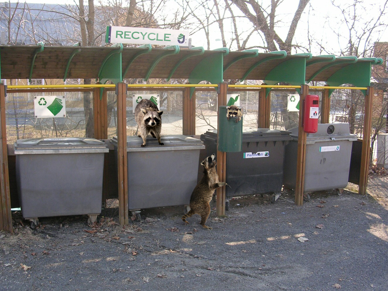 Photoshop Design by RachelB for DesignCrowd (Community Contests) | Design #8984001