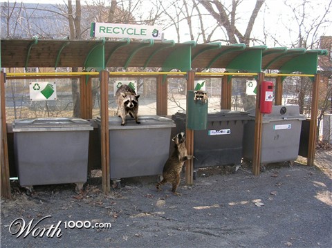 Photoshop Design by RachelB