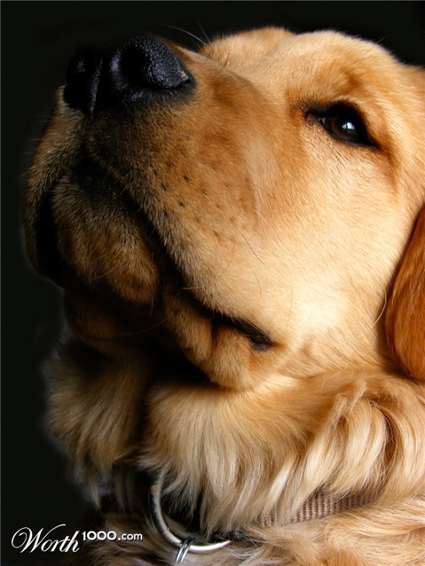 Photography by imthinkingoutloud