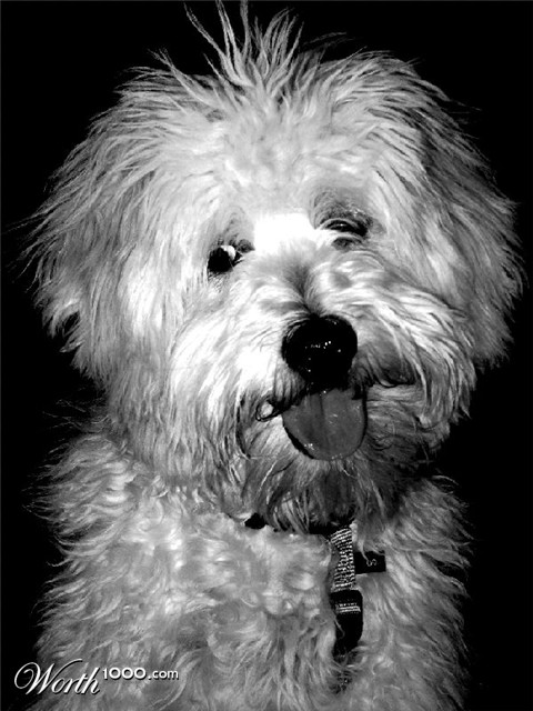 Photography by sarahop1