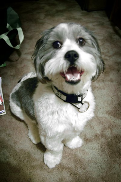 Photography by tabed17 for DesignCrowd (Community Contests) | Design #8980375