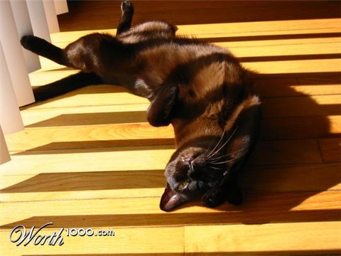 Photography by nicoledsutherland