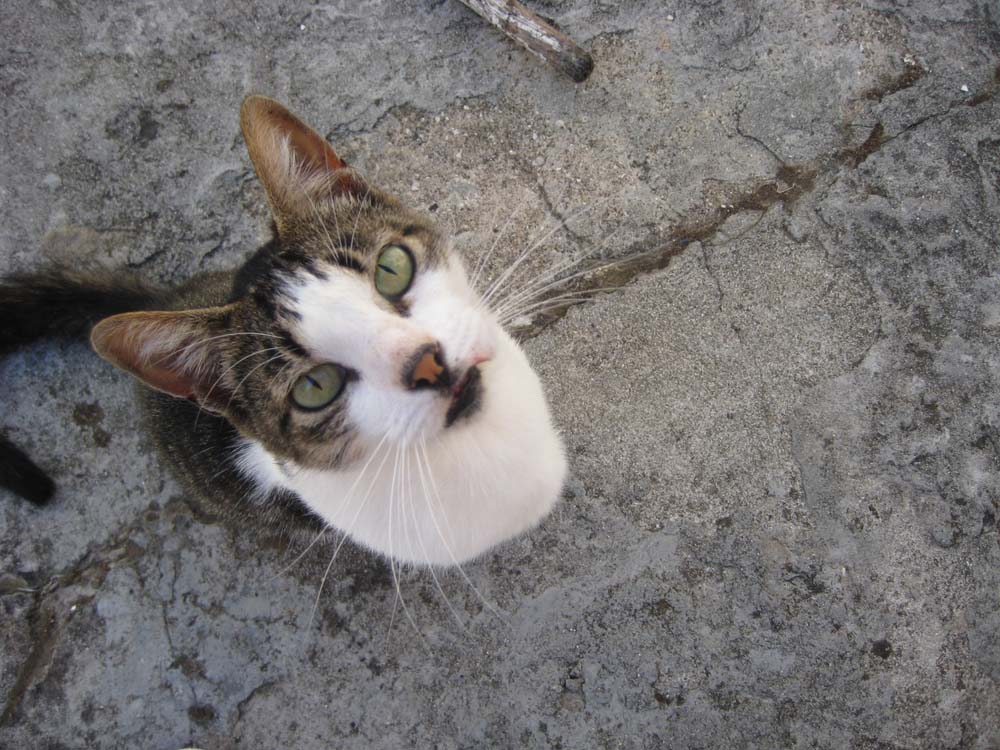 Photographie par AdamWel pour DesignCrowd (Community Contests) | Design #8980361