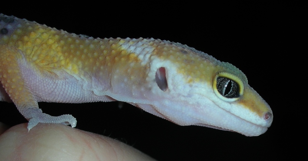 Photography by Sherbertsmoothy for DesignCrowd (Community Contests) | Design #8980386