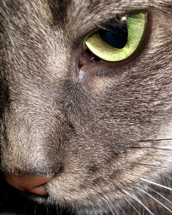 Photography by bestpicturesever for DesignCrowd (Community Contests) | Design #8980403