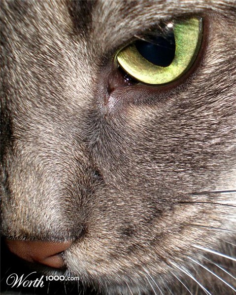 Photography by bestpicturesever